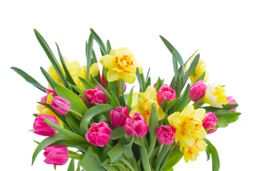 Photo sur Aluminium Narcisse bunch  of pink tulips and yellow daffodils