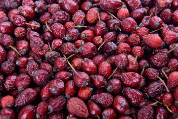 dry rose hips