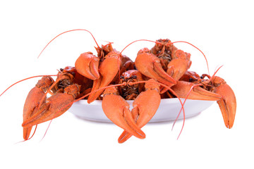 Boiled red crawfishes