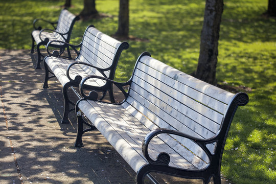 Park Benches At Portland Waterfront Park