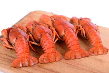 Boiled red crawfishes