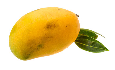 Yellow bright mango