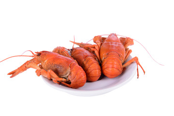 Boiled red crawfishes