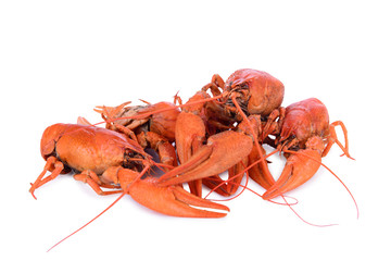 Boiled red crawfishes
