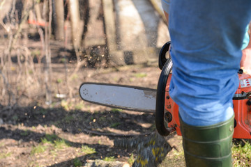 Lumberjack working with chainsaw, cutting wood. Selective focus