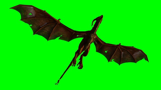 dragon wyvern in the glide - green screen