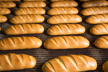 Hot baked breads on a line