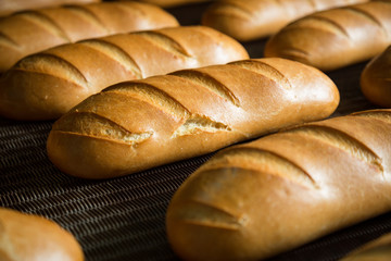 Hot baked breads on a line