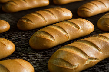 Hot baked breads on a line