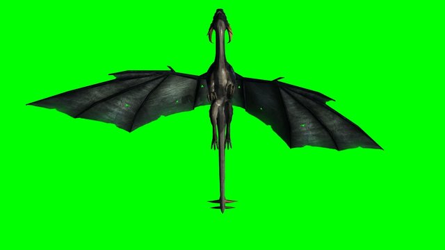 dragon in flight - green screen