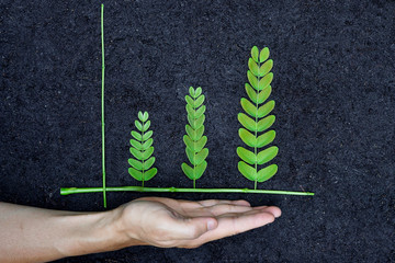 Hands holding tree arranged as a green graph on soil background