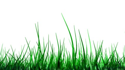 Fototapeta premium grass