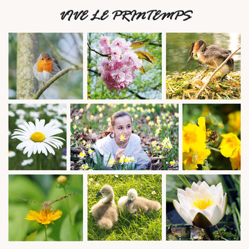 mosaique printemps