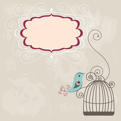 Vintage frame wih birdcage