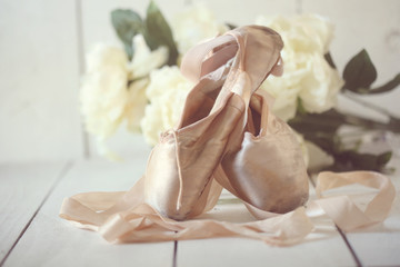 Posed Pointe Shoes in Natural Light