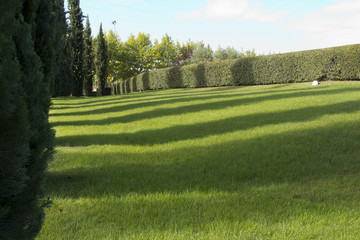 Obraz premium Landscape.Spain.