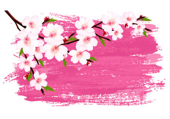 Pink paint sakura branch banner. Vector.
