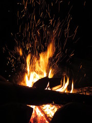 fire flame with calves in night