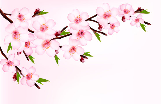 Spring background of a blossoming tree branch with spring flower