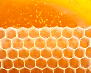 Honey macro in comb texture pattern background.