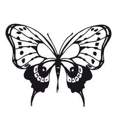 butterflies design