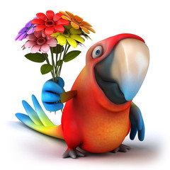 Parrot © Julien Tromeur