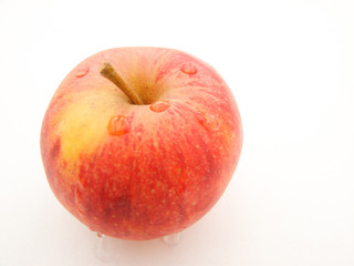 pomme fruit