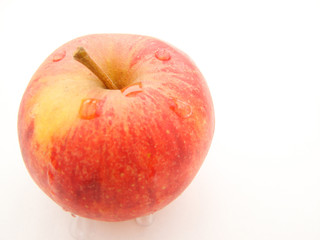 pomme fruit
