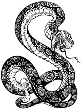 snake black white