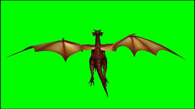 dragon in flight - green screen