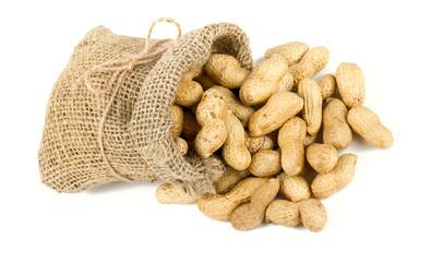 peanuts in a miniature burlap bag isolated on white