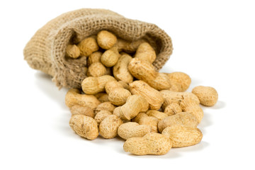 peanuts in a miniature burlap bag isolated on white