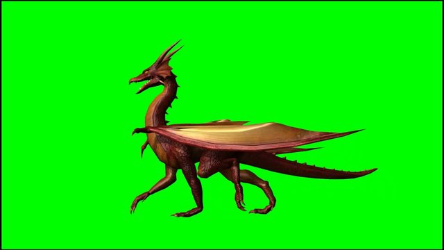 dragon walks - green screen