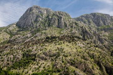 Evergreens on Rocky Kotor Hill