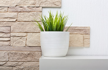 Room interior with stone wall andand green plant on white shelf