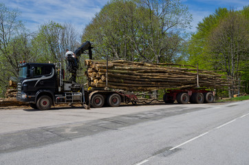 Fototapeta premium Camion transport bois