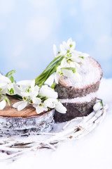 Beautiful snowdrops on snow, on nature winter background