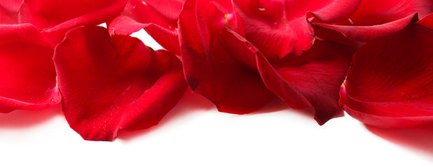 Naklejka premium Beautiful red rose petals, isolated on white