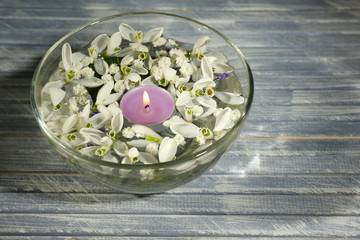 Beautiful snowdrops and candle in glass bowl with water,