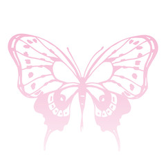 butterflies design