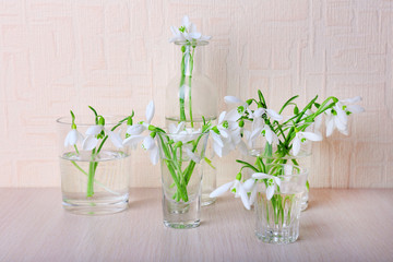 Beautiful bouquets of snowdrops in vases on light background