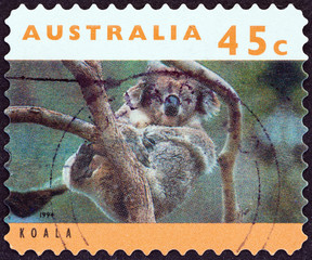 Koala (Australia 1994)