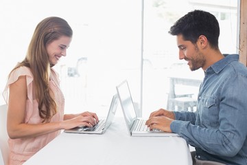 Obraz na płótnie Canvas Side view of a happy couple using laptops