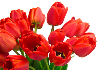 Red Tulip Bouquet