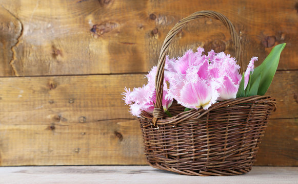 Beautiful tulips in wicker basket, on wooden background