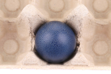 one dark blue easter egg at cardboard