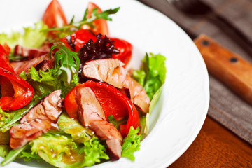 Succulent juicy portion of hot salad with grilled fillet steaks