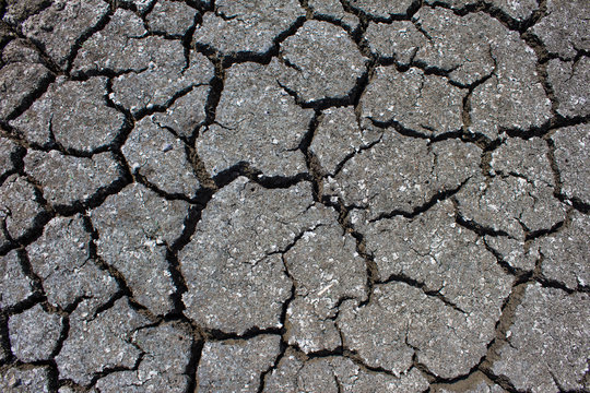 Dry cracked ground filling the frame as background