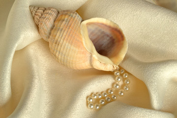 Muschel und perlenkette