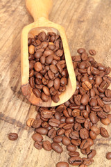 Fototapeta premium café